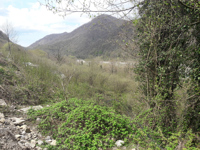 Участок под строительство загородного дома в Сочи. Горный воздух Кавказских гор